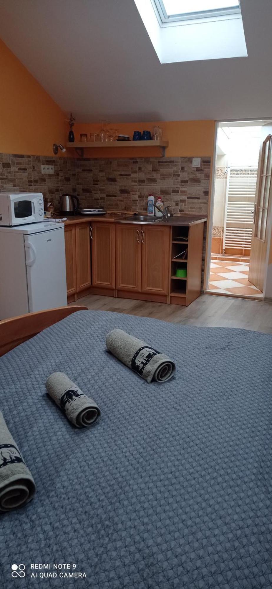 Penzion U Splavu Loket Kültér fotó